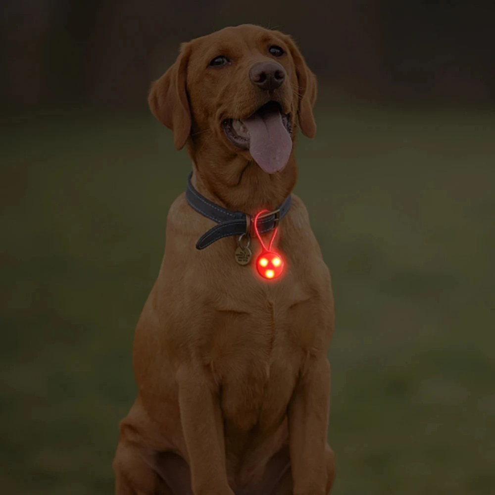 ไฟติดกระเป๋าเป้สะพายหลังสำหรับ - Running Gear Reflective บทวิจารณ์และราคา